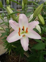 [4603 VZ W08 0332-01 Tucson No02.JPG]